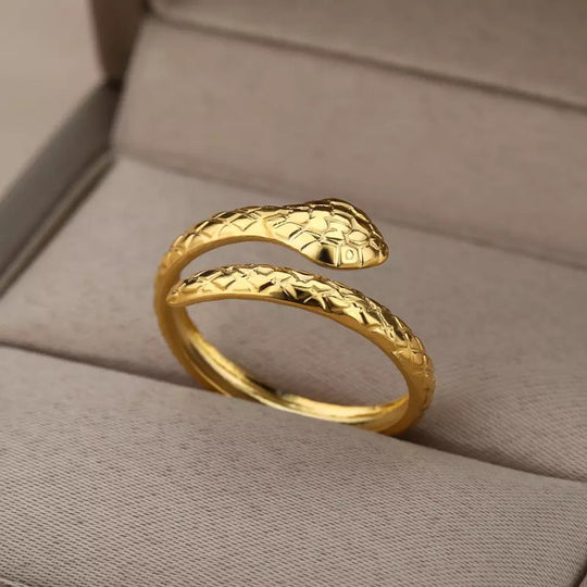 ANILLO SNAKE TITANIUM